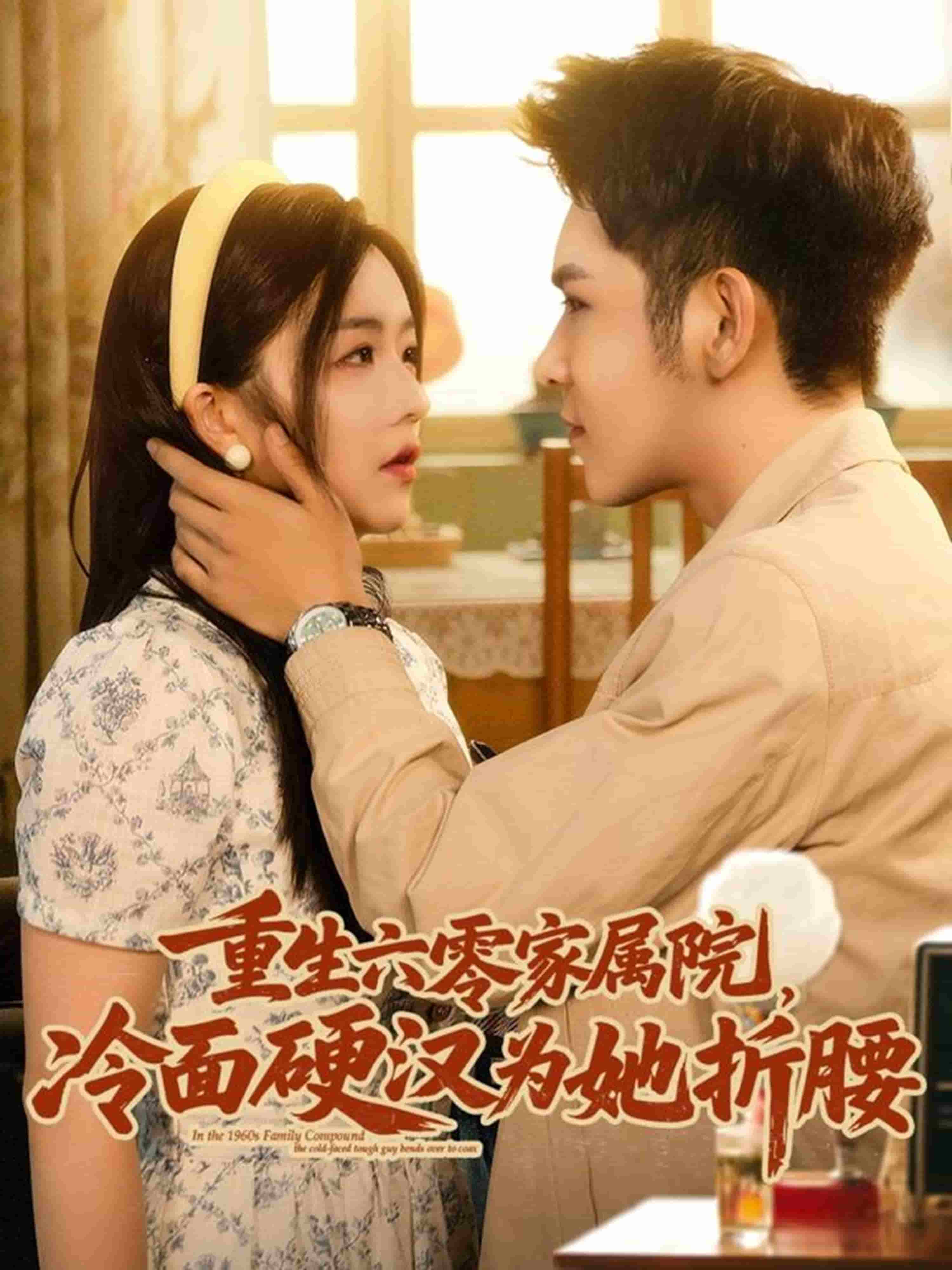 重生六零家属院冷面硬汉为她折腰