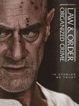 法律与秩序：组织犯罪第五季