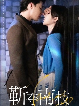 靳夺南枝 甜欲肆吻