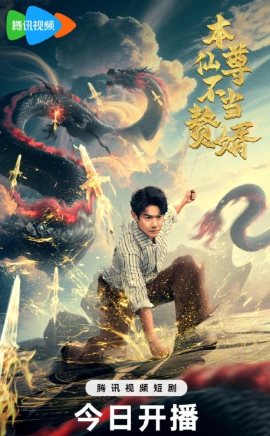 本仙尊不当赘婿