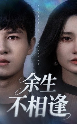 余生不相逢
