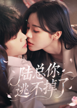 陆总你逃不掉了 爱意难逃