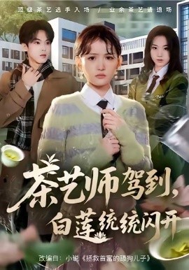 茶艺师驾到白莲统统闪开