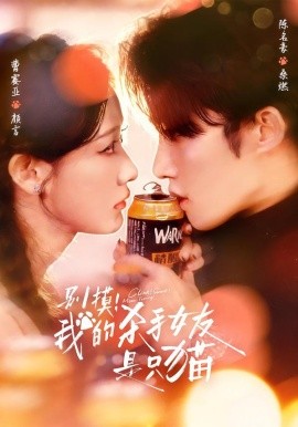 别摸！我的杀手女友是只猫