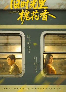 旧时光里槐花香